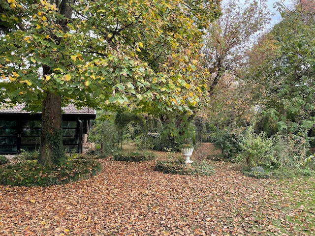 GIARDINO ALL'INGLESE 10