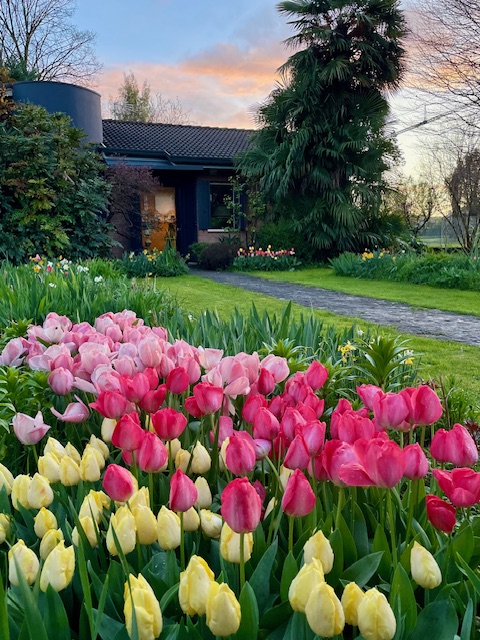 GIARDINO ALL'INGLESE 2