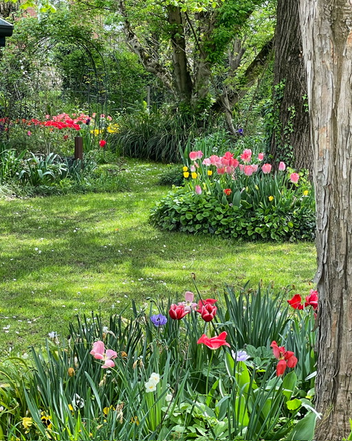 GIARDINO ALL'INGLESE 3