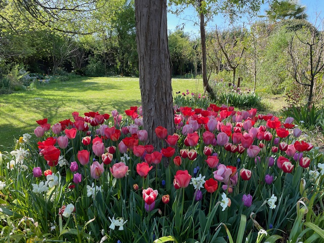 GIARDINO ALL'INGLESE 4
