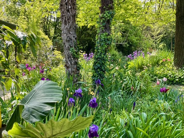 GIARDINO ALL'INGLESE 5