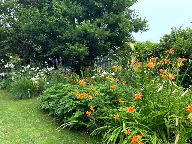 GIARDINO ALL'INGLESE 6