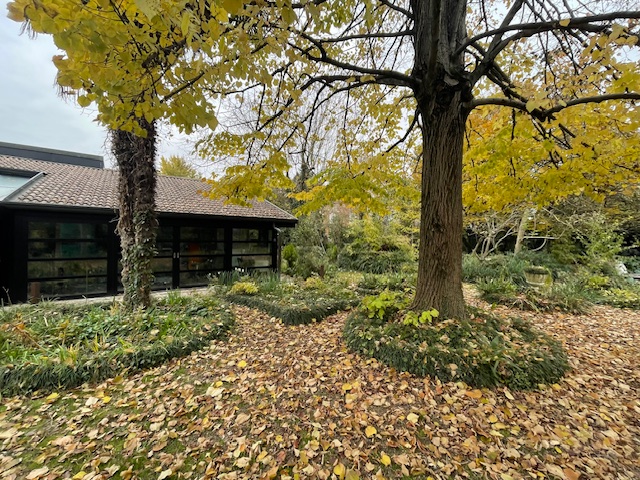 GIARDINO ALL'INGLESE 9