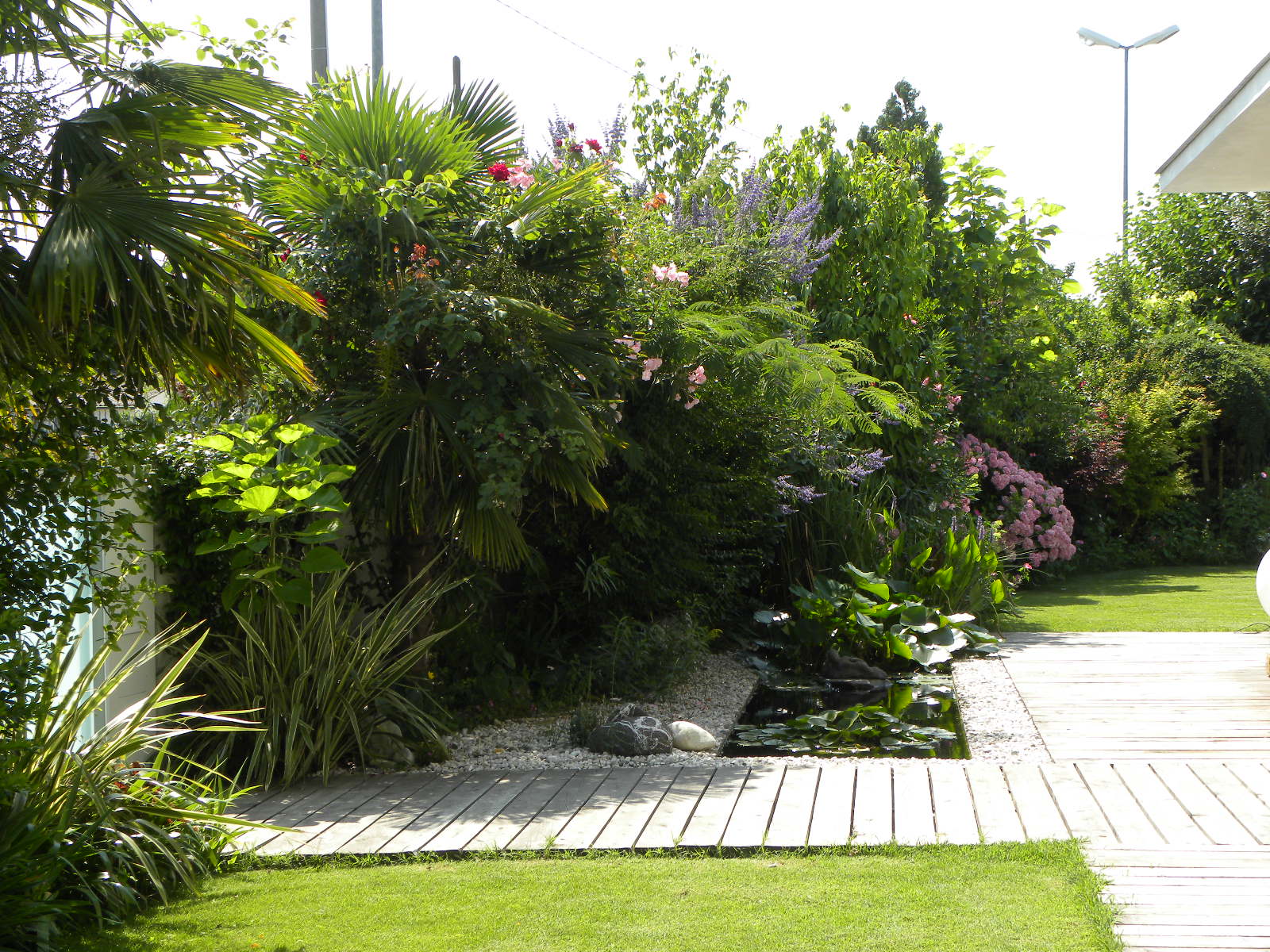 Giardino con laghetto