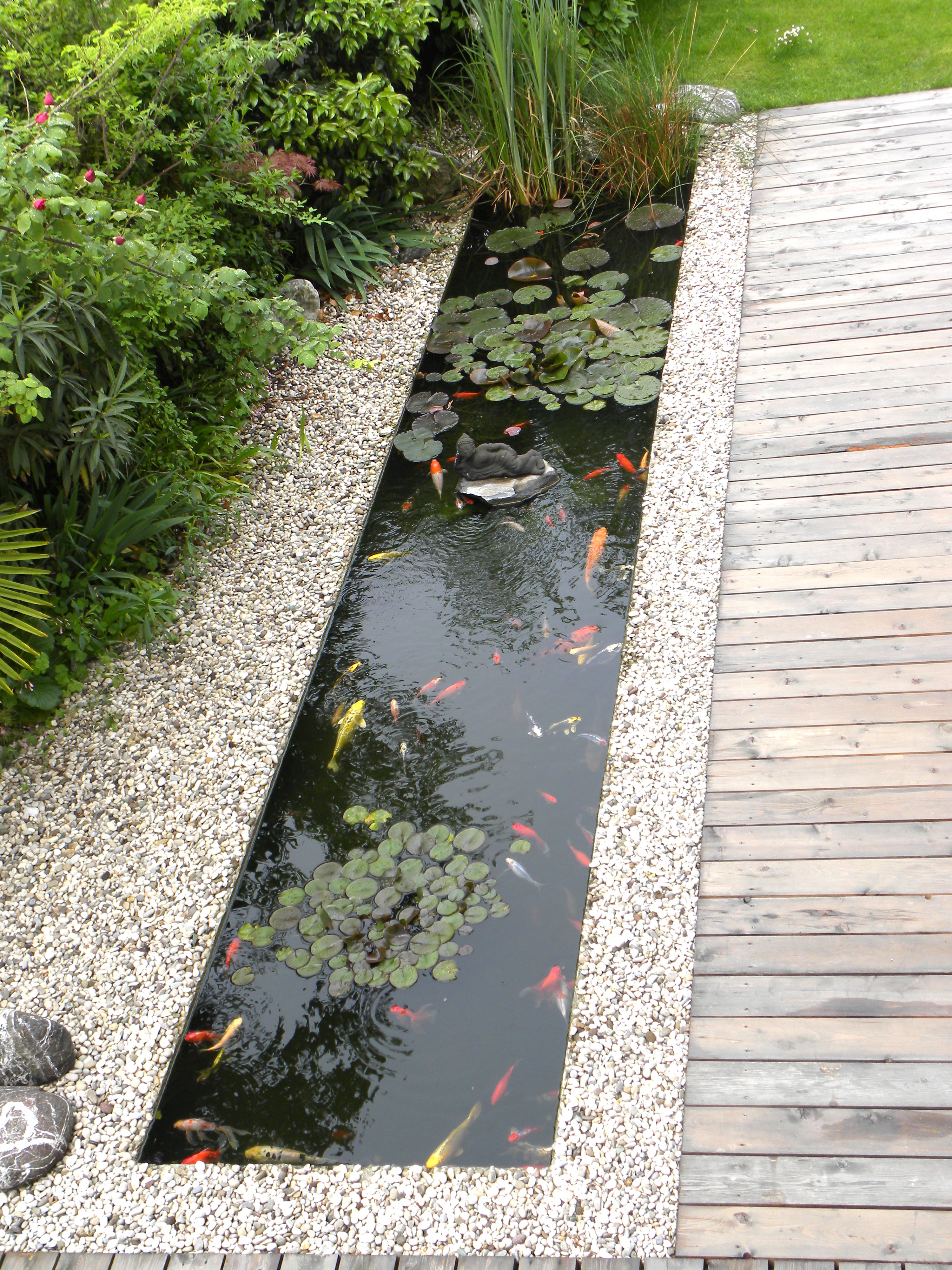 GIARDINO CON LAGHETTO 5