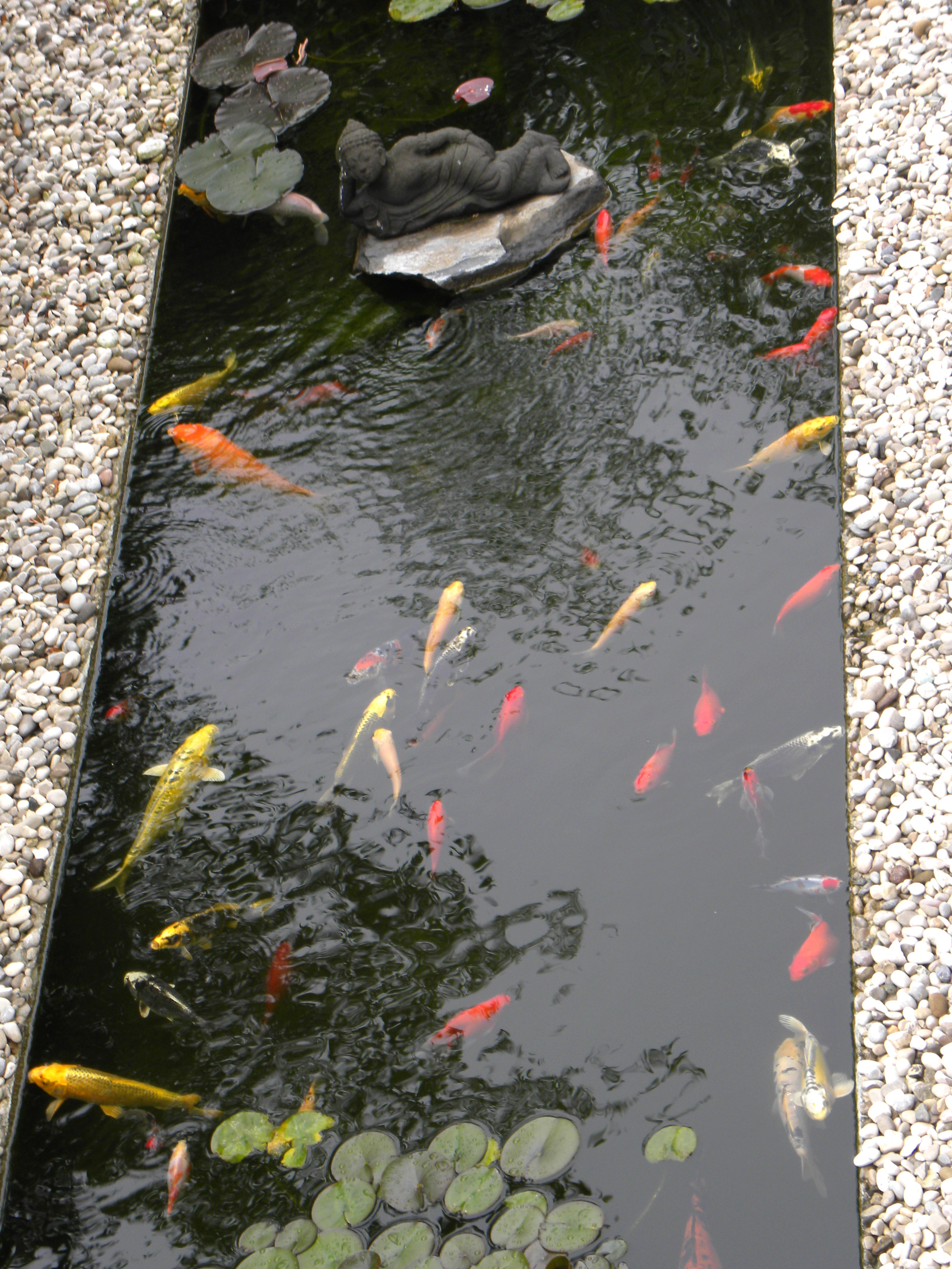 GIARDINO CON LAGHETTO 6