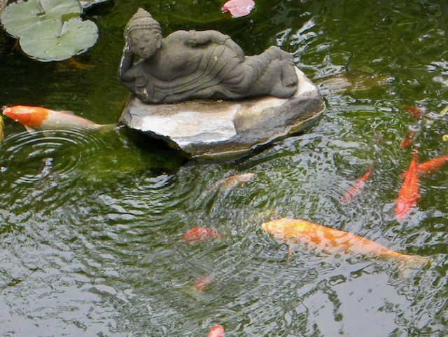 GIARDINO CON LAGHETTO 7