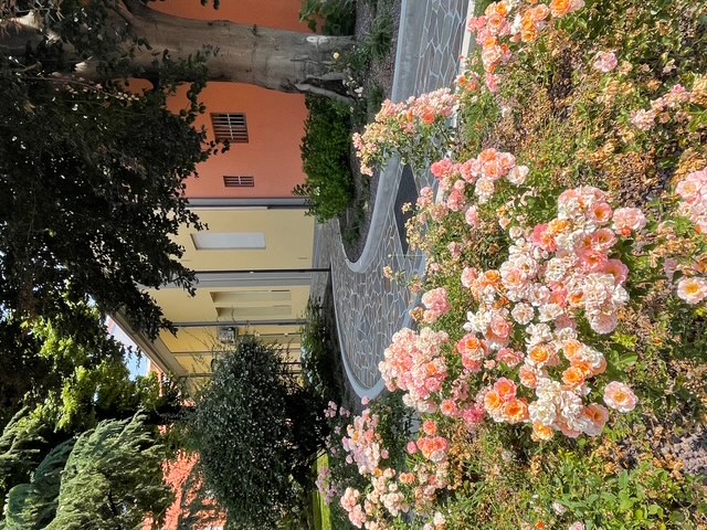 GIARDINO PUBBLICO 12