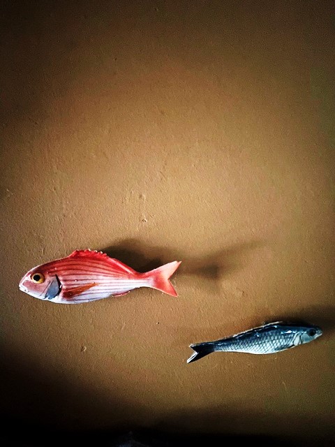 VILLA UNIFAMILIARE 11