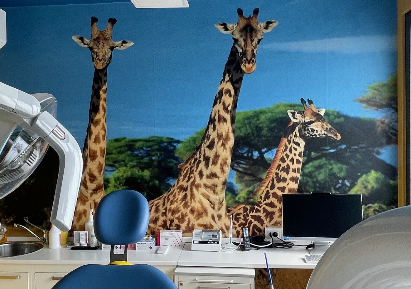 CLINICA ODONTOIATRICA PEDIATRICA 10