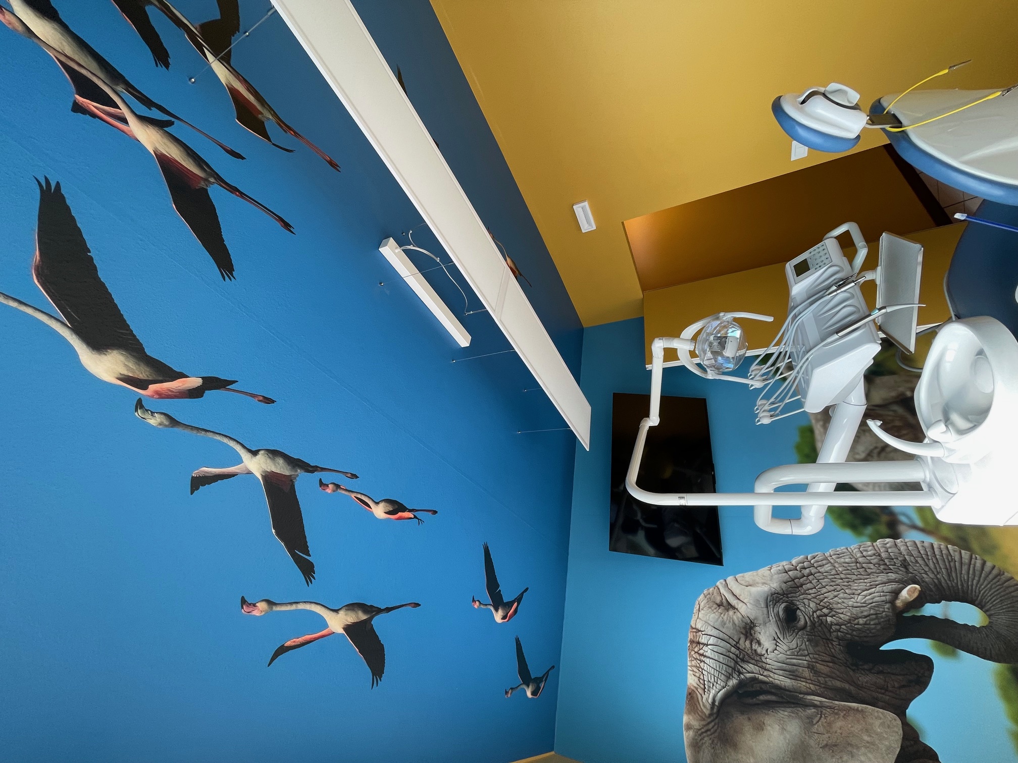 CLINICA ODONTOIATRICA PEDIATRICA 12