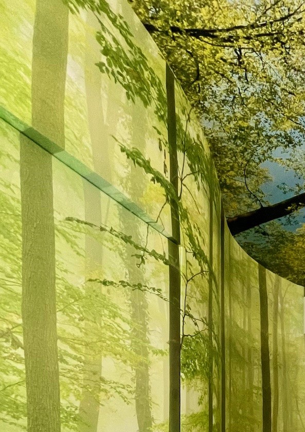 CLINICA ODONTOIATRICA PEDIATRICA 4