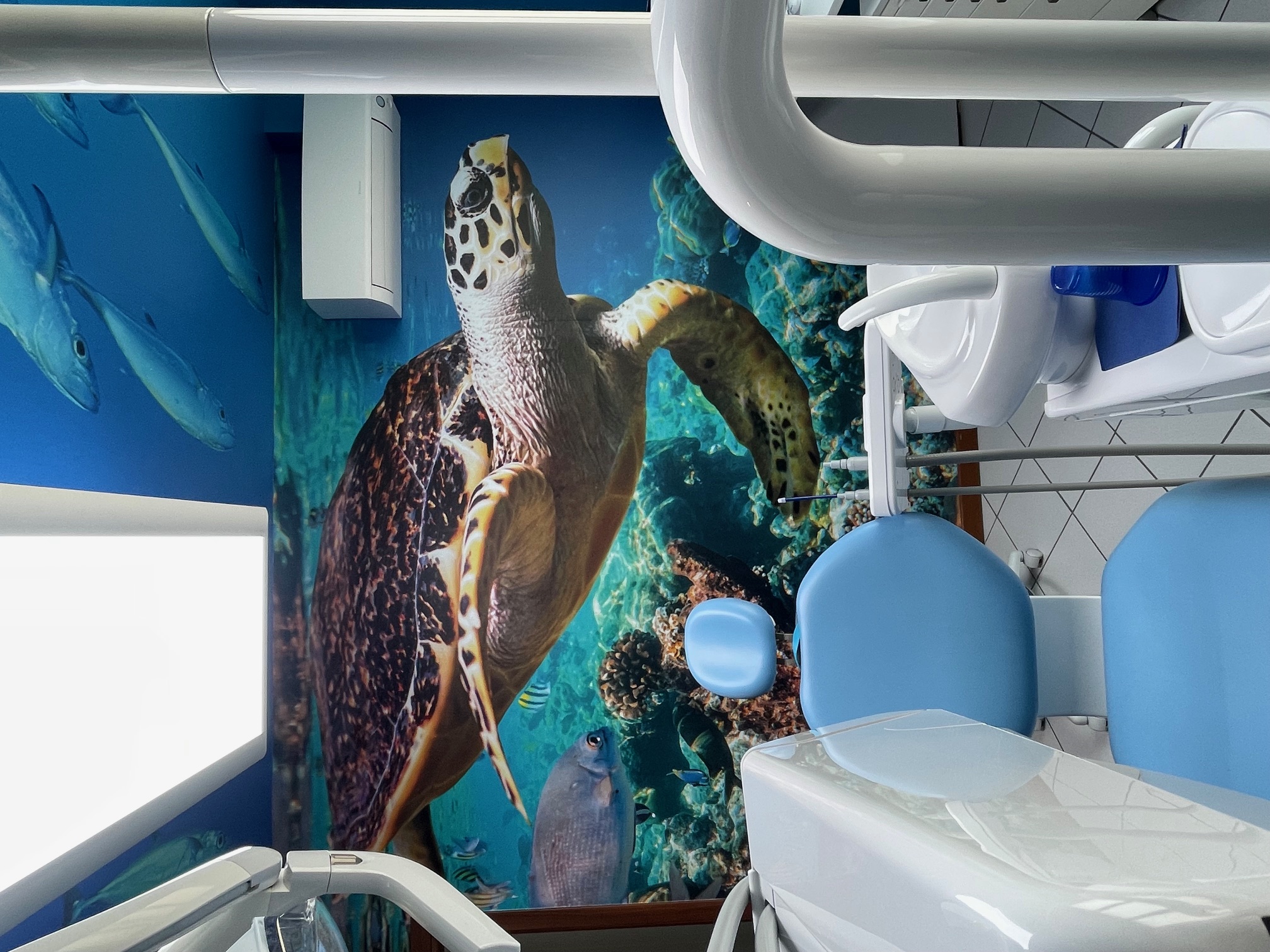 CLINICA ODONTOIATRICA PEDIATRICA 6