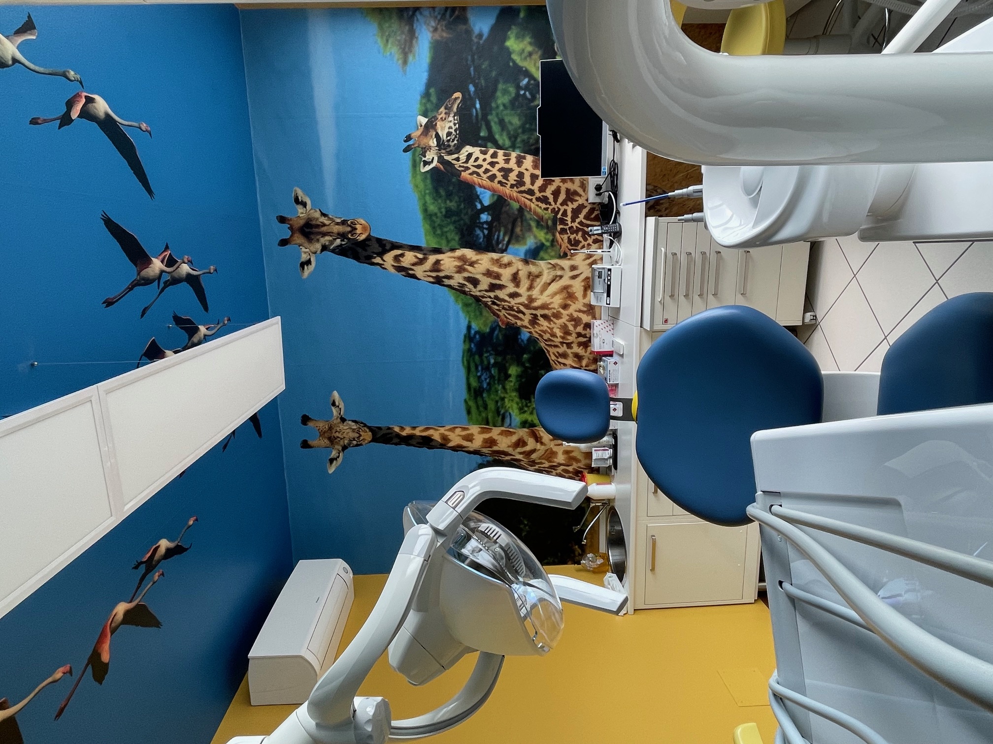 CLINICA ODONTOIATRICA PEDIATRICA 9