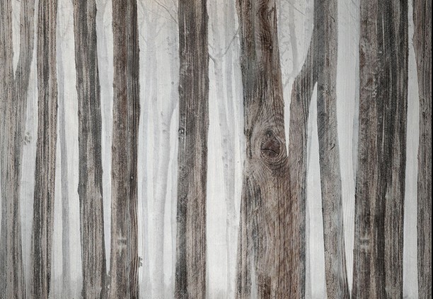 SALA RISTORANTE E DEHOR 10