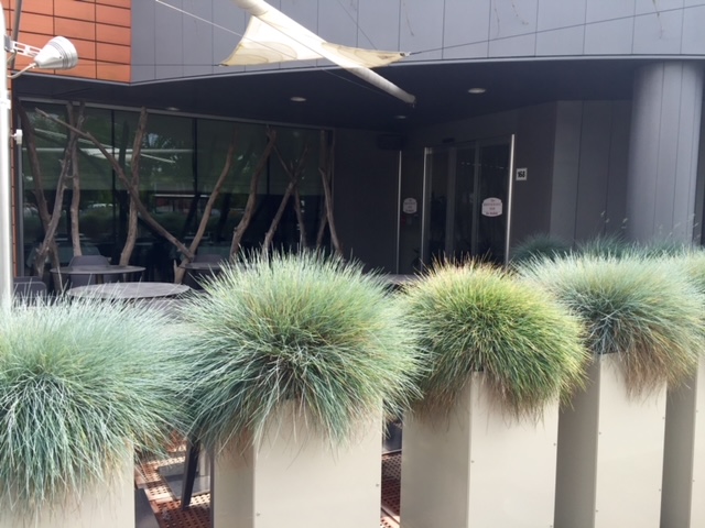 SALA RISTORANTE E DEHOR 2