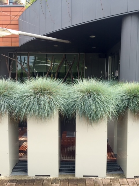 SALA RISTORANTE E DEHOR 4