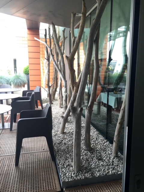 SALA RISTORANTE E DEHOR 5